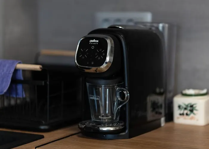 Luxury Gina With A Terrace 公寓